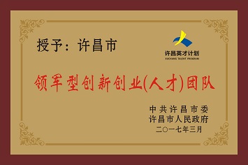 領(lǐng)軍型創(chuàng)新創(chuàng)業(yè)（人才）團(tuán)隊